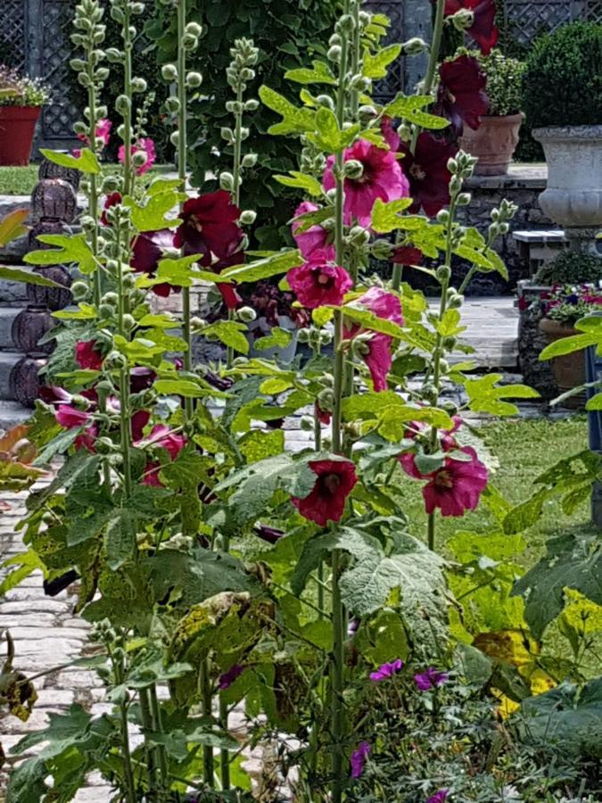 Bed and Breakfast Les Glycines Ury Esterno foto