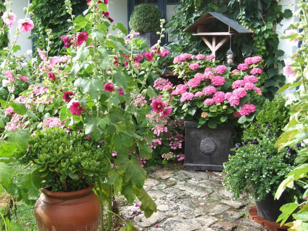 Bed and Breakfast Les Glycines Ury Esterno foto
