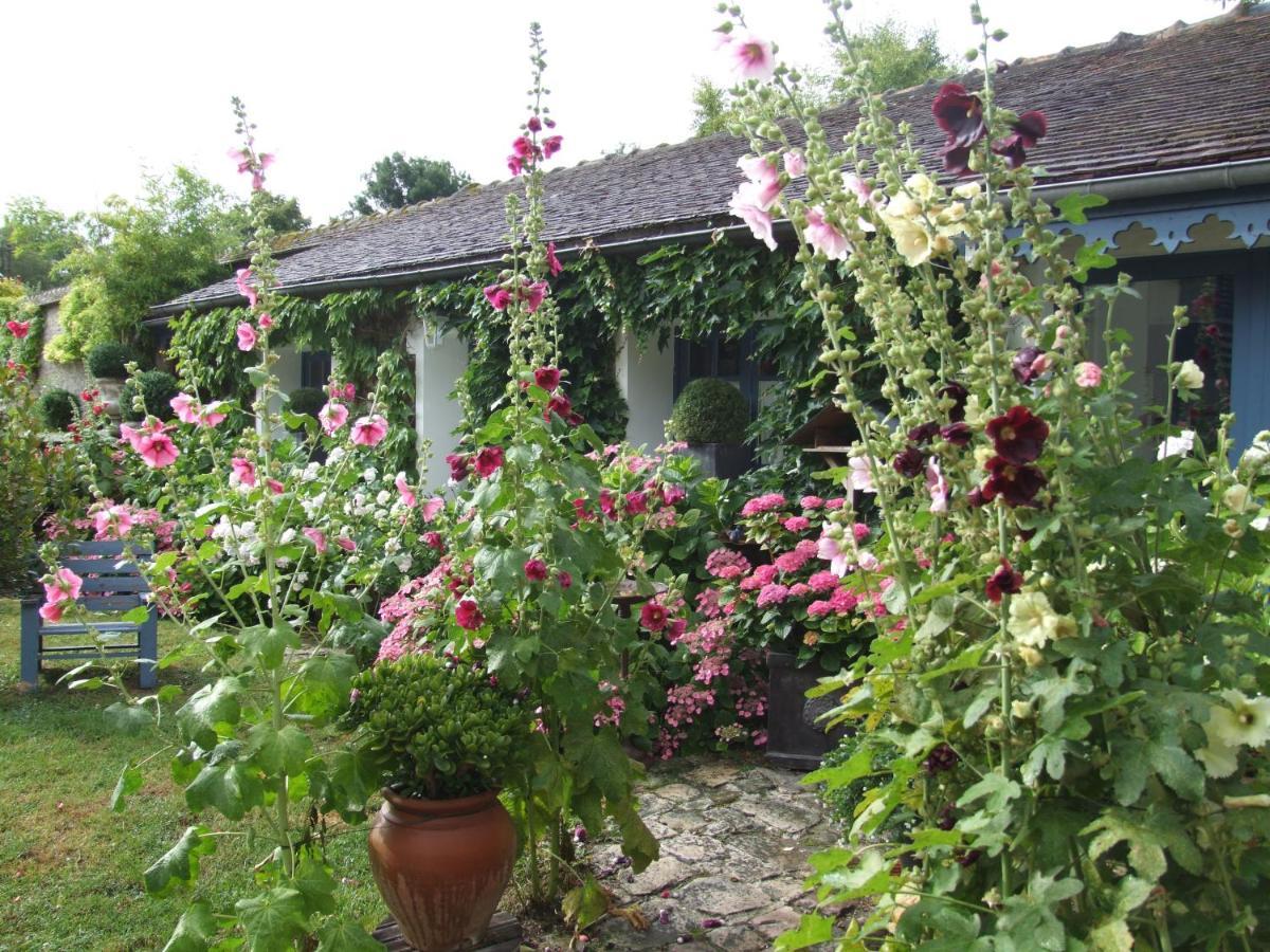 Bed and Breakfast Les Glycines Ury Esterno foto