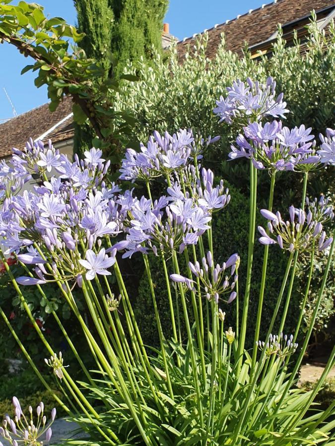 Bed and Breakfast Les Glycines Ury Esterno foto