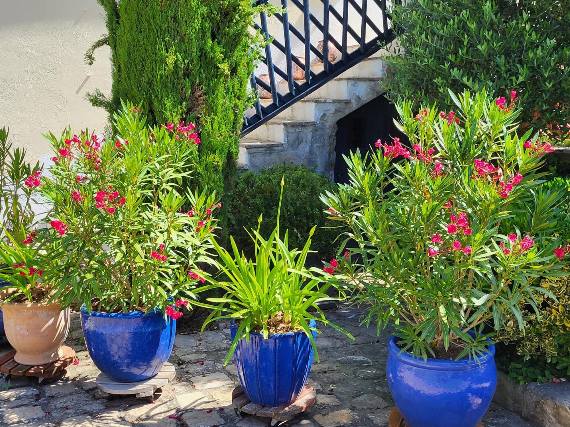 Bed and Breakfast Les Glycines Ury Esterno foto