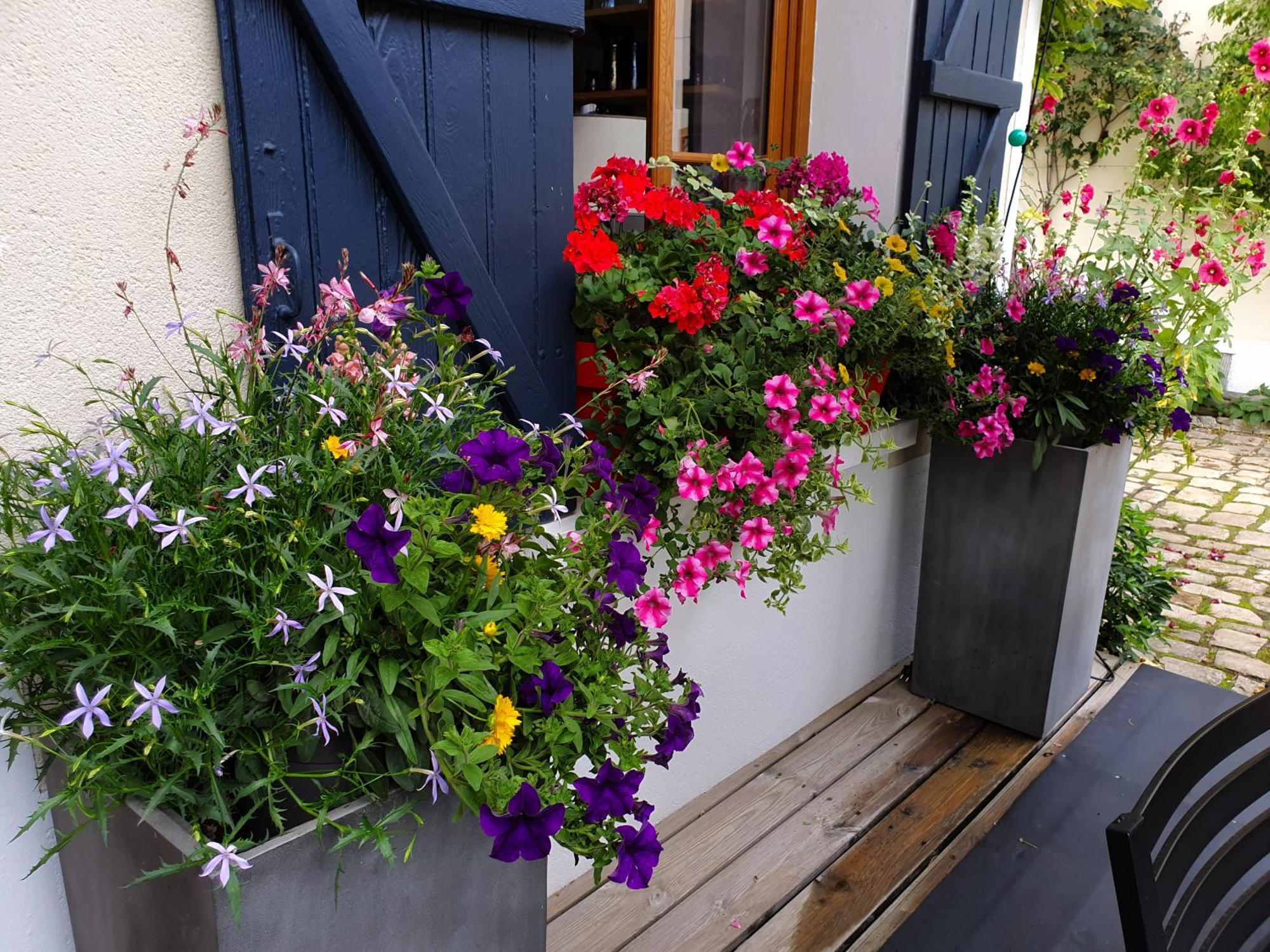Bed and Breakfast Les Glycines Ury Esterno foto