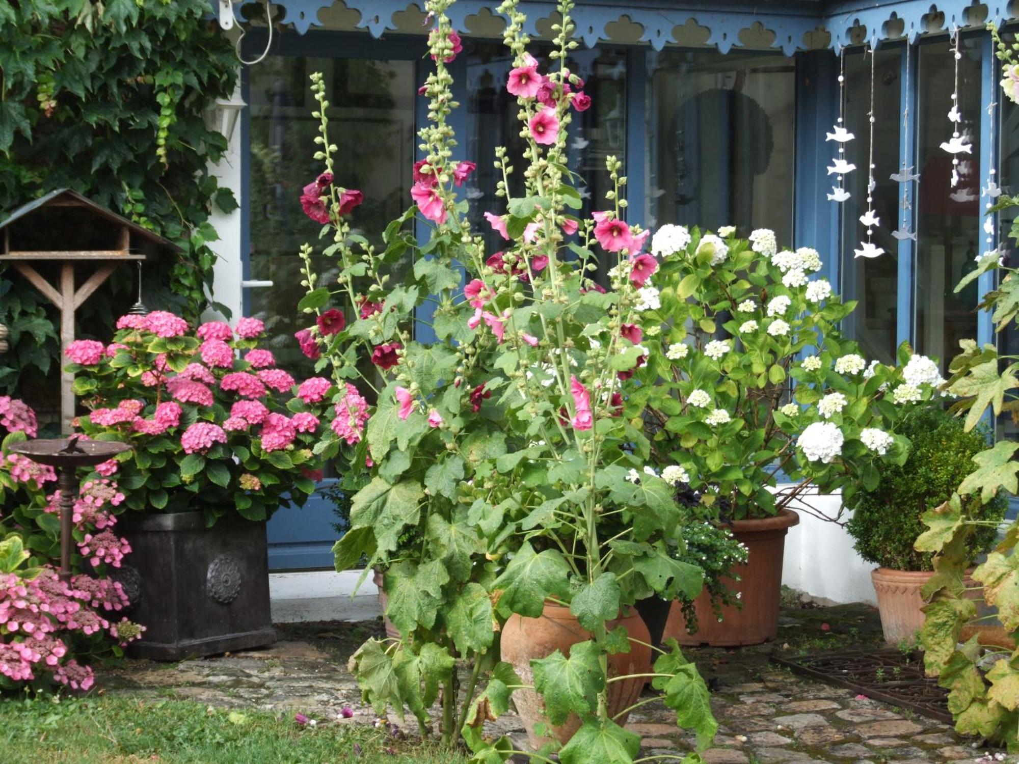 Bed and Breakfast Les Glycines Ury Esterno foto