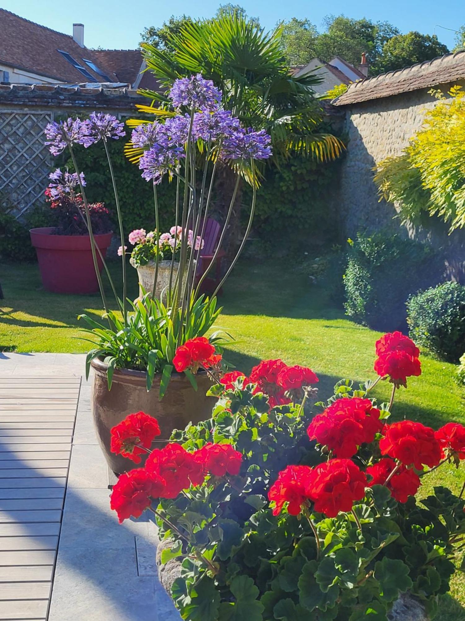Bed and Breakfast Les Glycines Ury Esterno foto