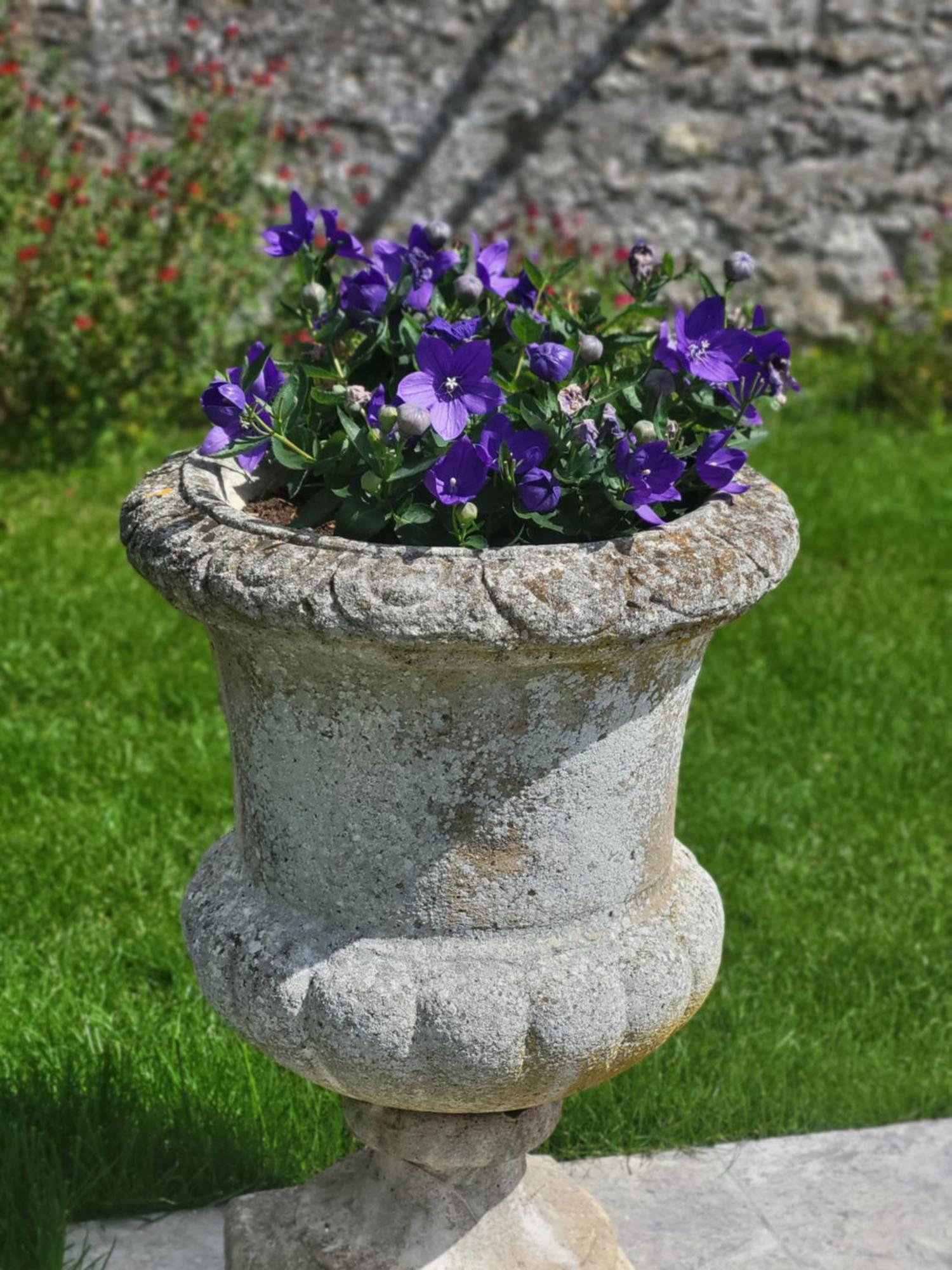 Bed and Breakfast Les Glycines Ury Esterno foto