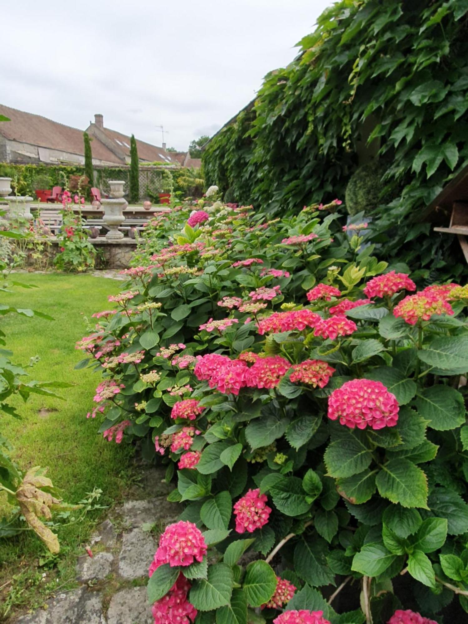 Bed and Breakfast Les Glycines Ury Esterno foto